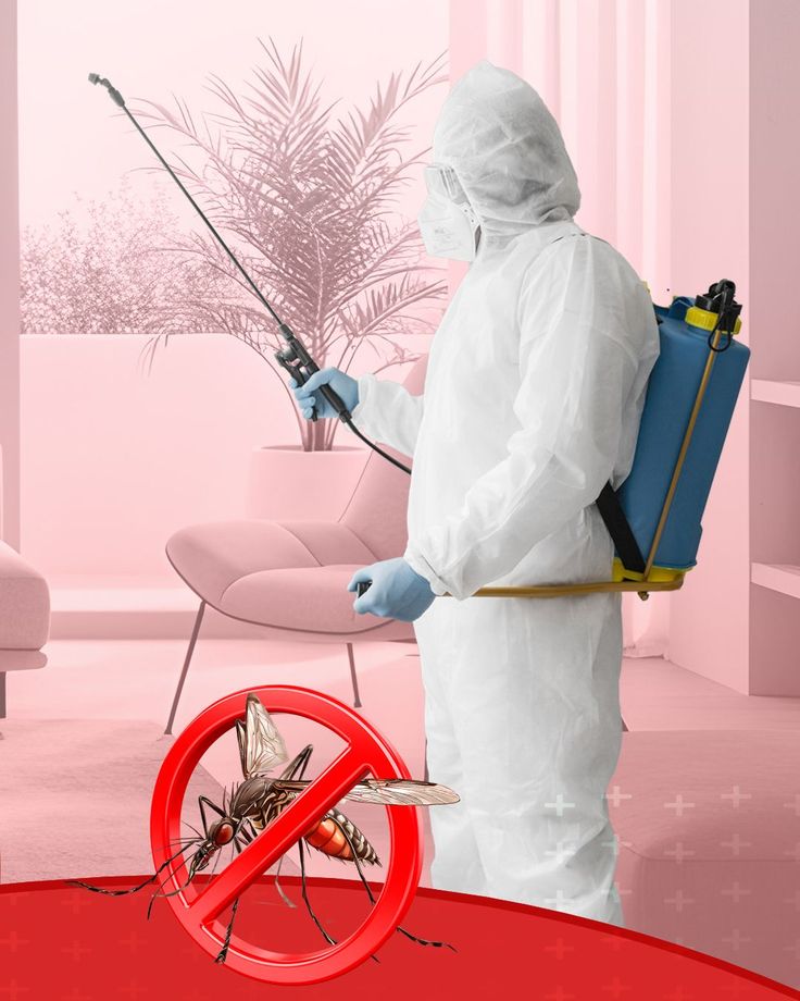 Güroymak haşere ilaçlama uygulama aşaması